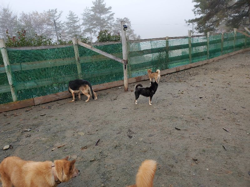 f:id:roukenhome-ann:20191213142844j:plain f:id:roukenhome-ann:20191213142844j:plain
