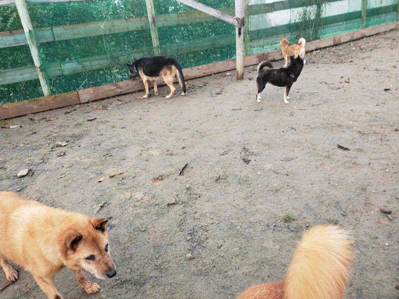 f:id:roukenhome-ann:20191213142854j:plain f:id:roukenhome-ann:20191213142854j:plain