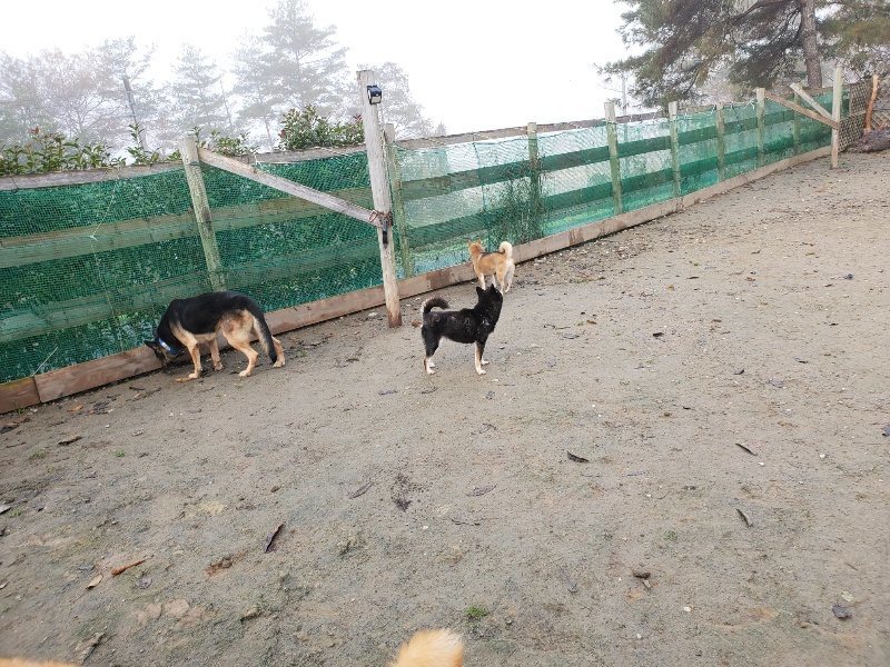 f:id:roukenhome-ann:20191213142901j:plain f:id:roukenhome-ann:20191213142901j:plain