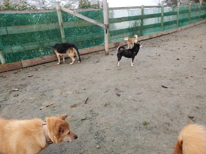 f:id:roukenhome-ann:20191213142909j:plain f:id:roukenhome-ann:20191213142909j:plain