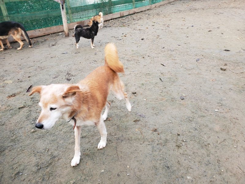 f:id:roukenhome-ann:20191213142922j:plain f:id:roukenhome-ann:20191213142922j:plain