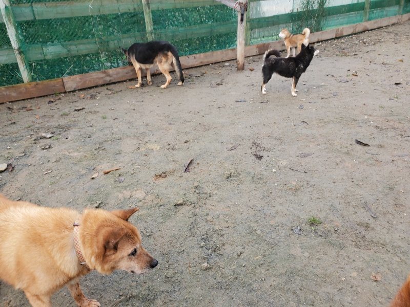 f:id:roukenhome-ann:20191213142934j:plain f:id:roukenhome-ann:20191213142934j:plain