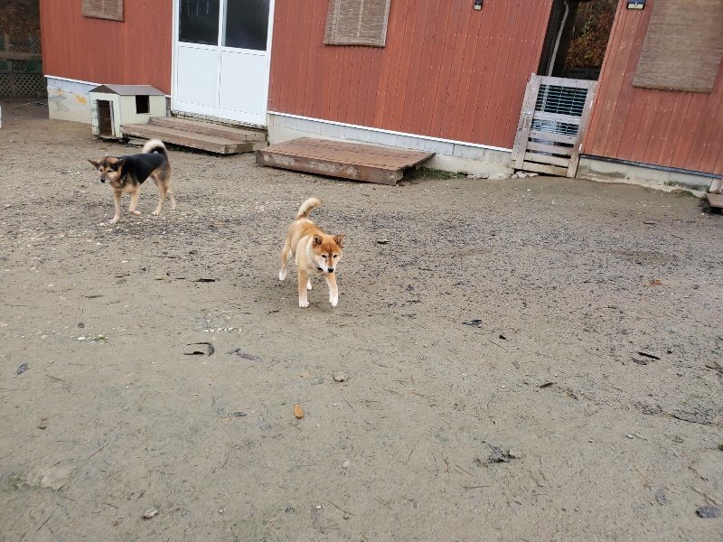f:id:roukenhome-ann:20191213142948j:plain f:id:roukenhome-ann:20191213142948j:plain