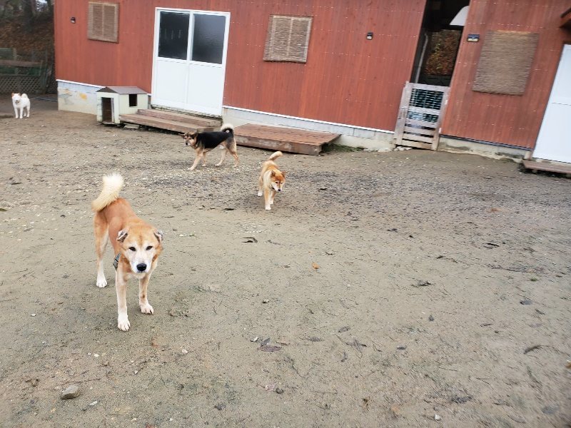 f:id:roukenhome-ann:20191213143007j:plain f:id:roukenhome-ann:20191213143007j:plain