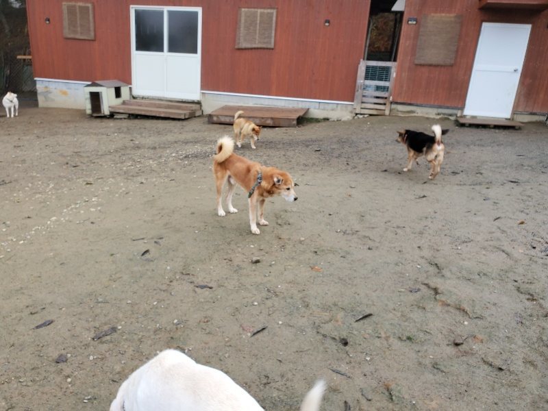 f:id:roukenhome-ann:20191213143013j:plain f:id:roukenhome-ann:20191213143013j:plain