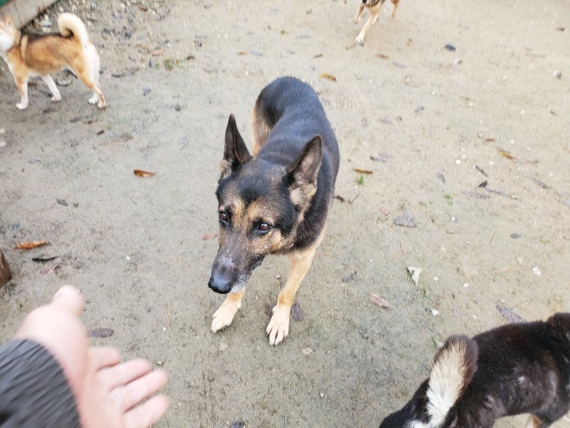 f:id:roukenhome-ann:20191213143037j:plain f:id:roukenhome-ann:20191213143037j:plain
