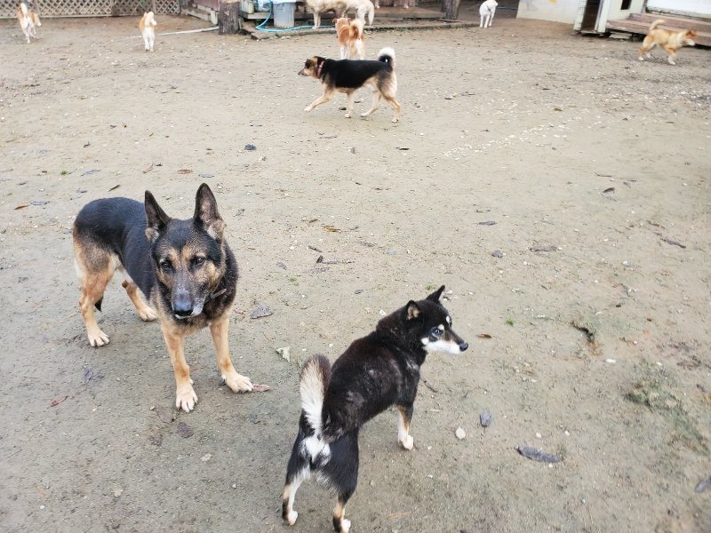f:id:roukenhome-ann:20191213143042j:plain f:id:roukenhome-ann:20191213143042j:plain