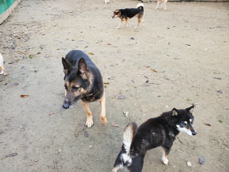 f:id:roukenhome-ann:20191213143051j:plain f:id:roukenhome-ann:20191213143051j:plain