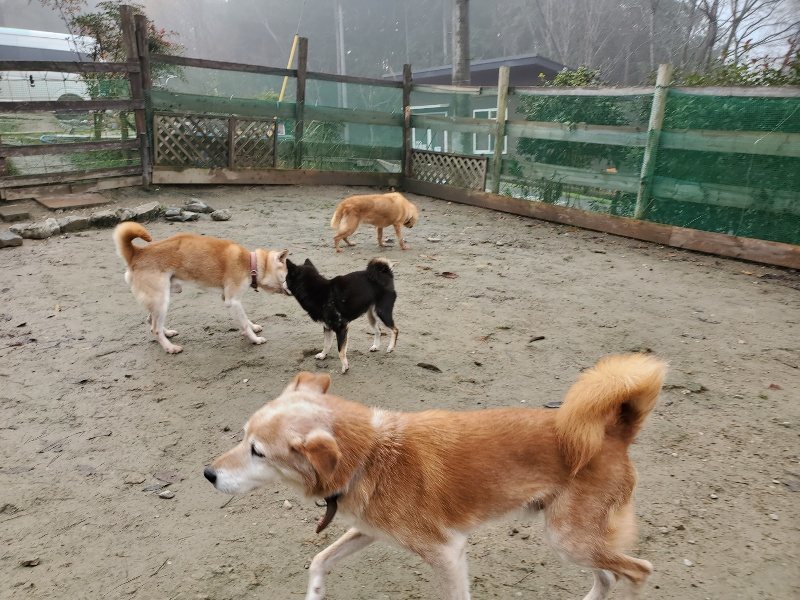 f:id:roukenhome-ann:20191213152723j:plain f:id:roukenhome-ann:20191213152723j:plain