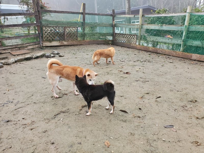 f:id:roukenhome-ann:20191213152729j:plain f:id:roukenhome-ann:20191213152729j:plain