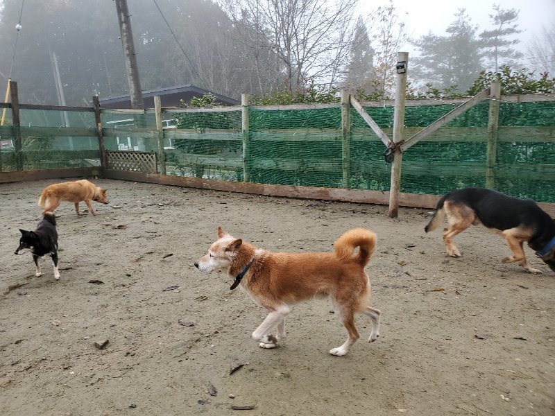 f:id:roukenhome-ann:20191213152736j:plain f:id:roukenhome-ann:20191213152736j:plain