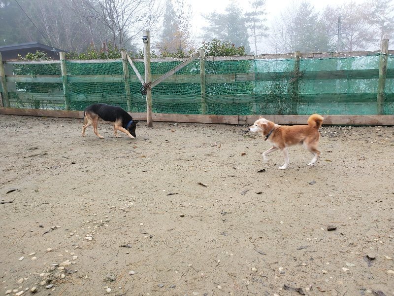 f:id:roukenhome-ann:20191213152747j:plain f:id:roukenhome-ann:20191213152747j:plain