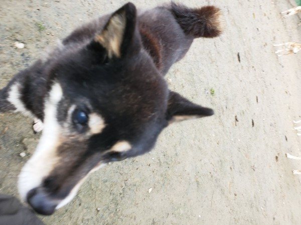 f:id:roukenhome-ann:20191213152803j:plain f:id:roukenhome-ann:20191213152803j:plain