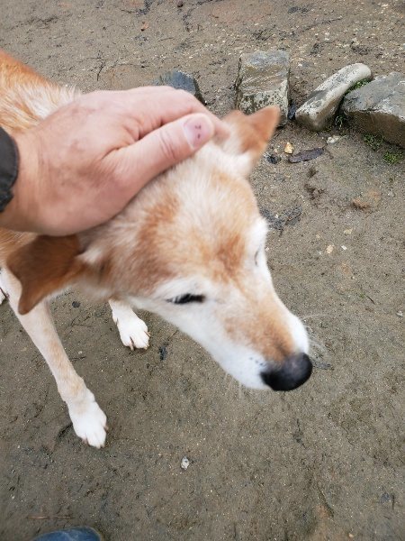 f:id:roukenhome-ann:20191213152810j:plain f:id:roukenhome-ann:20191213152810j:plain