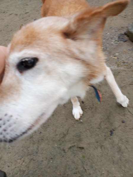 f:id:roukenhome-ann:20191213152833j:plain f:id:roukenhome-ann:20191213152833j:plain