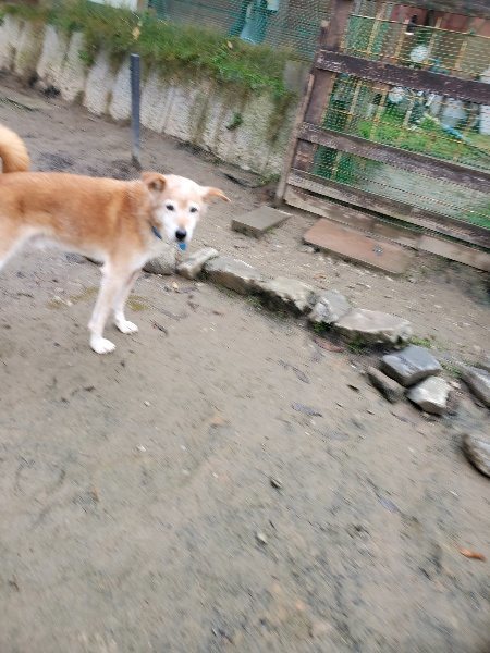 f:id:roukenhome-ann:20191213152840j:plain f:id:roukenhome-ann:20191213152840j:plain