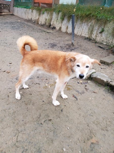 f:id:roukenhome-ann:20191213152844j:plain f:id:roukenhome-ann:20191213152844j:plain