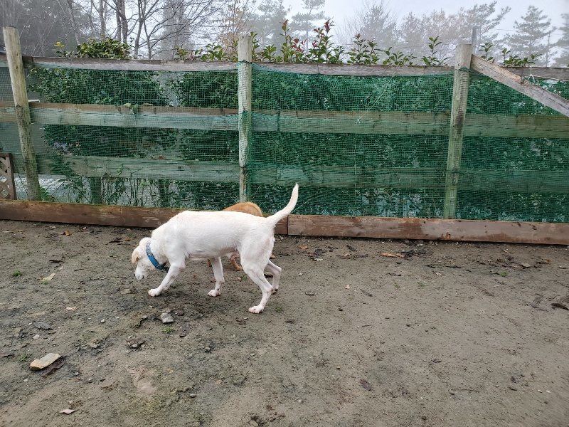 f:id:roukenhome-ann:20191213152854j:plain f:id:roukenhome-ann:20191213152854j:plain