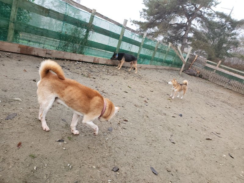 f:id:roukenhome-ann:20191213152904j:plain f:id:roukenhome-ann:20191213152904j:plain