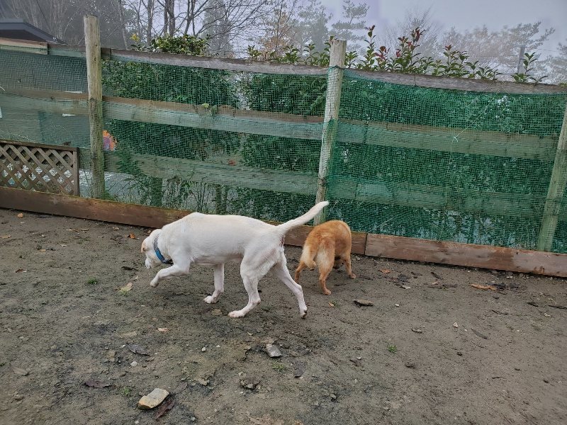f:id:roukenhome-ann:20191213152910j:plain f:id:roukenhome-ann:20191213152910j:plain