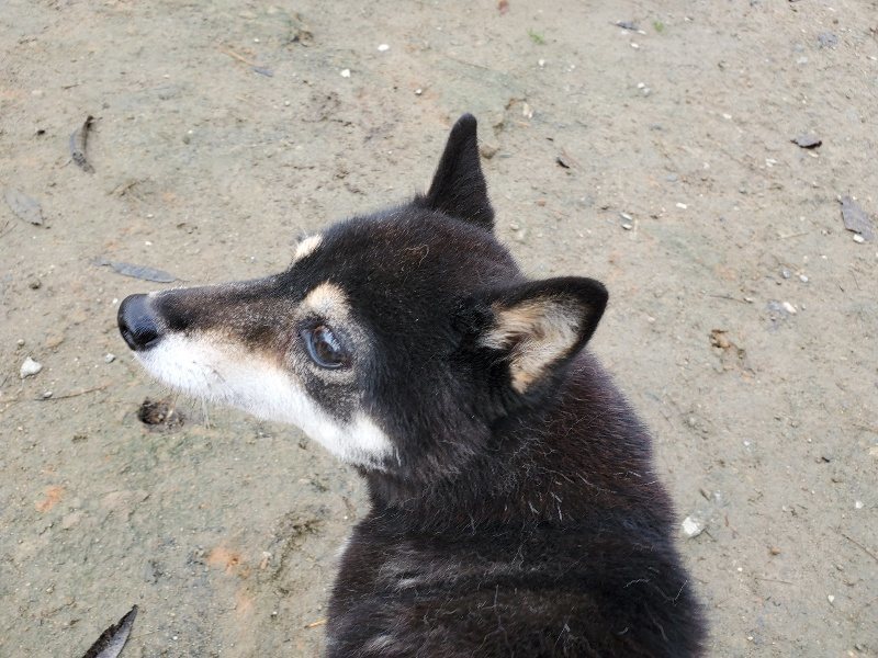 f:id:roukenhome-ann:20191213152918j:plain f:id:roukenhome-ann:20191213152918j:plain