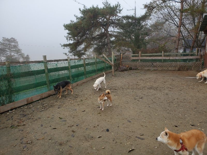 f:id:roukenhome-ann:20191213152926j:plain f:id:roukenhome-ann:20191213152926j:plain