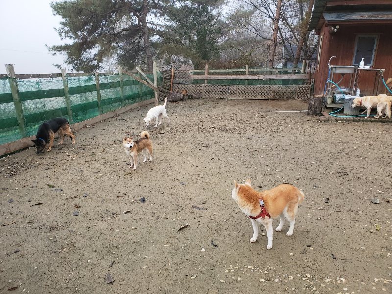 f:id:roukenhome-ann:20191213152940j:plain f:id:roukenhome-ann:20191213152940j:plain