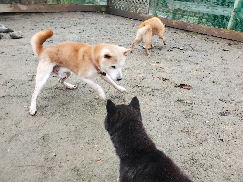 f:id:roukenhome-ann:20191213152947j:plain f:id:roukenhome-ann:20191213152947j:plain