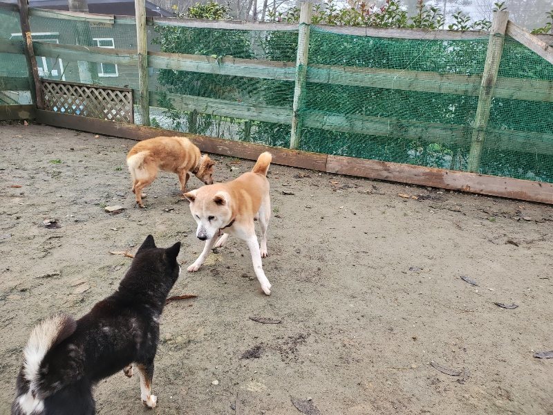 f:id:roukenhome-ann:20191213152956j:plain f:id:roukenhome-ann:20191213152956j:plain