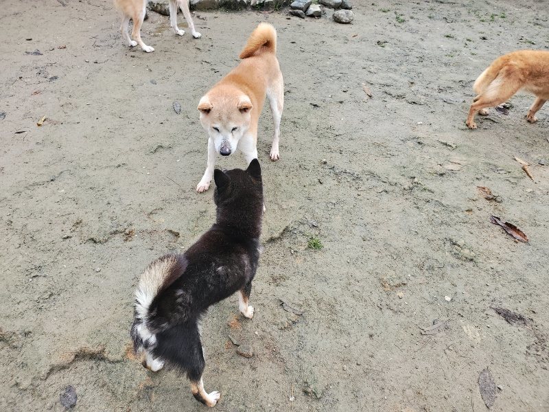 f:id:roukenhome-ann:20191213153003j:plain f:id:roukenhome-ann:20191213153003j:plain