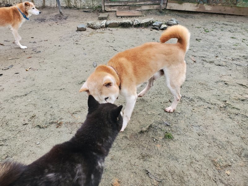 f:id:roukenhome-ann:20191213153012j:plain f:id:roukenhome-ann:20191213153012j:plain