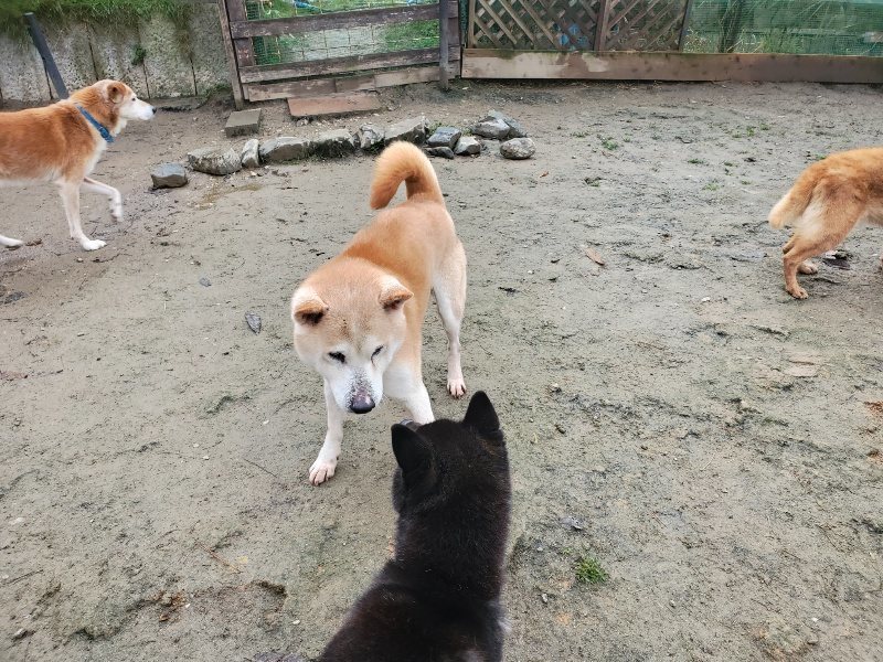 f:id:roukenhome-ann:20191213153017j:plain f:id:roukenhome-ann:20191213153017j:plain