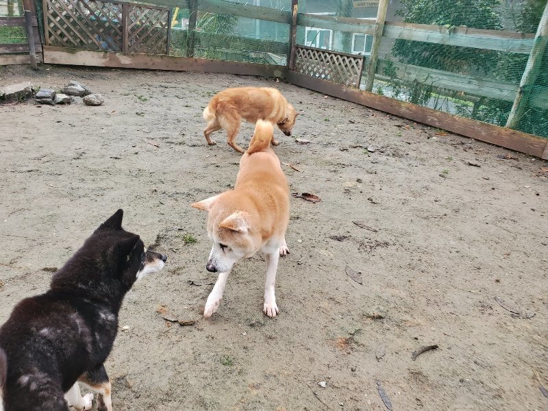 f:id:roukenhome-ann:20191213153027j:plain f:id:roukenhome-ann:20191213153027j:plain