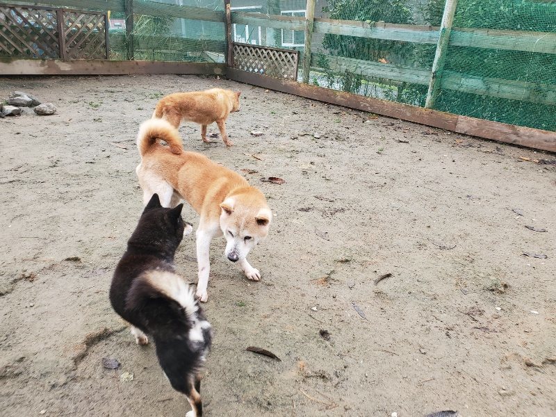 f:id:roukenhome-ann:20191213153035j:plain f:id:roukenhome-ann:20191213153035j:plain