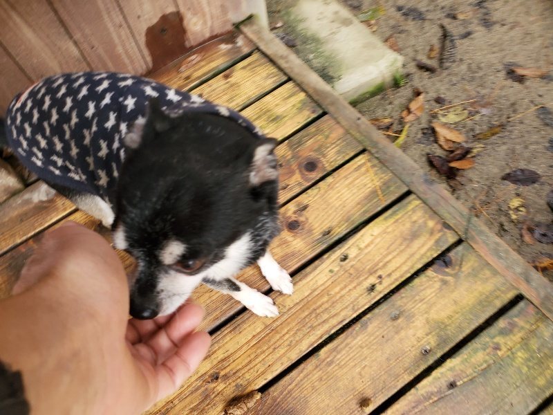f:id:roukenhome-ann:20191213153119j:plain f:id:roukenhome-ann:20191213153119j:plain