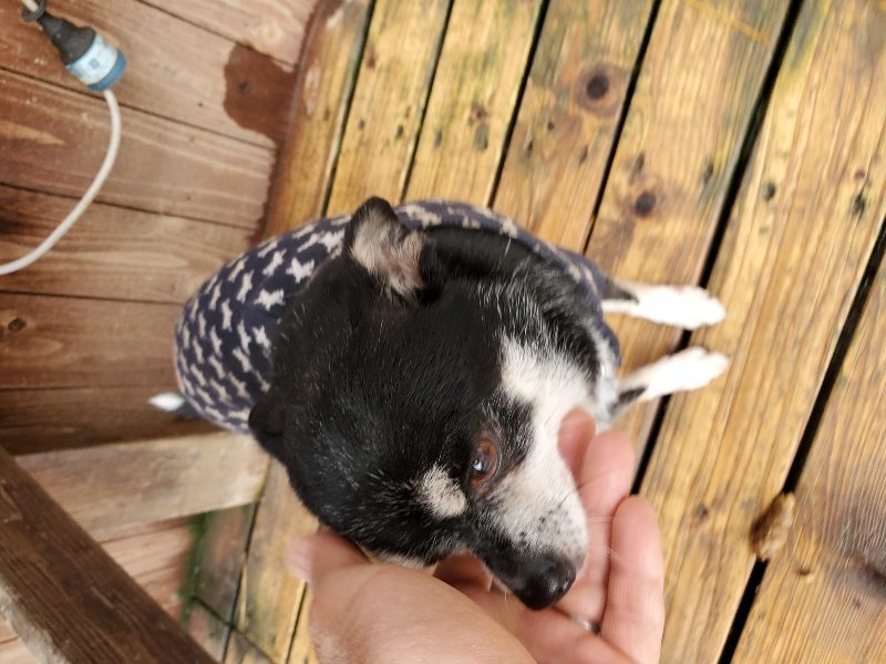 f:id:roukenhome-ann:20191213153127j:plain f:id:roukenhome-ann:20191213153127j:plain