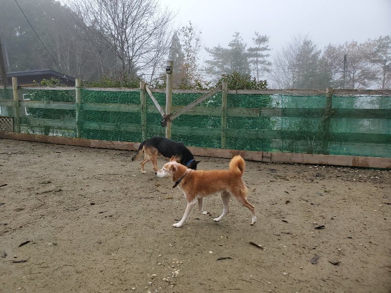 f:id:roukenhome-ann:20191213153143j:plain f:id:roukenhome-ann:20191213153143j:plain