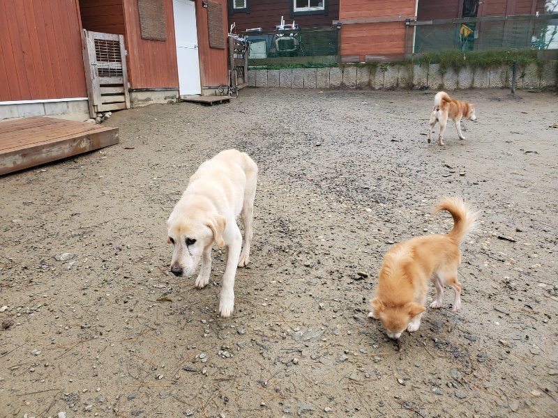 f:id:roukenhome-ann:20191213153156j:plain f:id:roukenhome-ann:20191213153156j:plain