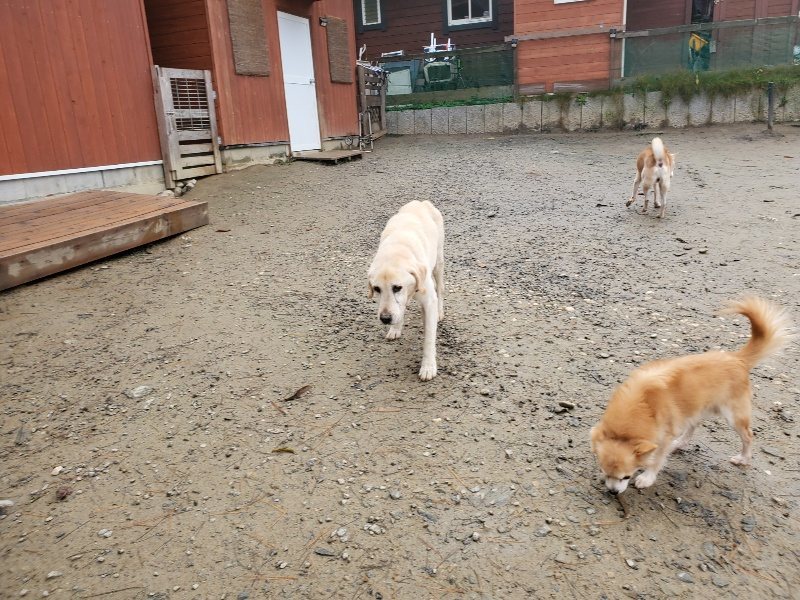 f:id:roukenhome-ann:20191213153214j:plain f:id:roukenhome-ann:20191213153214j:plain