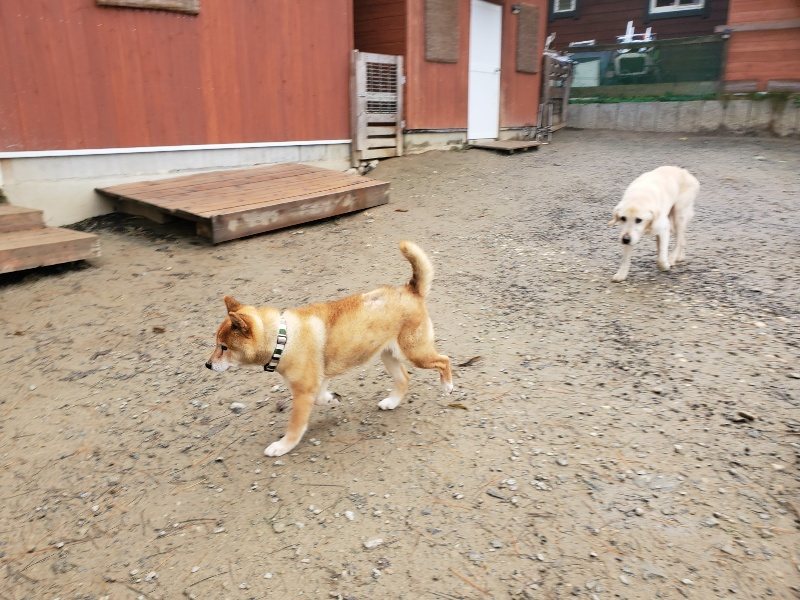 f:id:roukenhome-ann:20191213153222j:plain f:id:roukenhome-ann:20191213153222j:plain