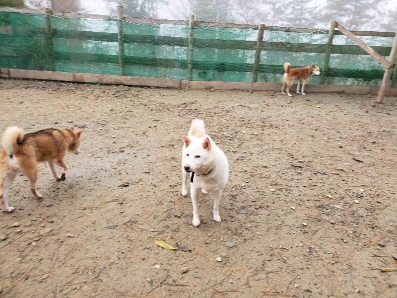 f:id:roukenhome-ann:20191213153238j:plain f:id:roukenhome-ann:20191213153238j:plain