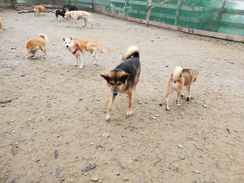 f:id:roukenhome-ann:20191213153246j:plain f:id:roukenhome-ann:20191213153246j:plain