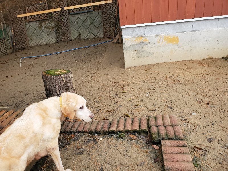 f:id:roukenhome-ann:20191213153254j:plain f:id:roukenhome-ann:20191213153254j:plain
