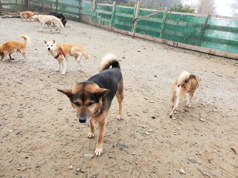 f:id:roukenhome-ann:20191213153300j:plain f:id:roukenhome-ann:20191213153300j:plain