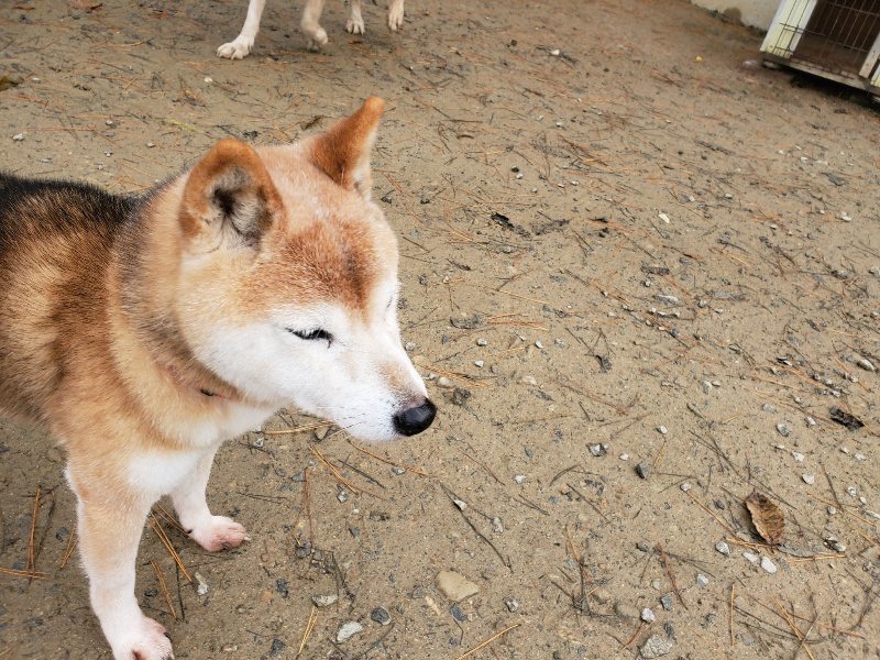 f:id:roukenhome-ann:20191213153311j:plain f:id:roukenhome-ann:20191213153311j:plain