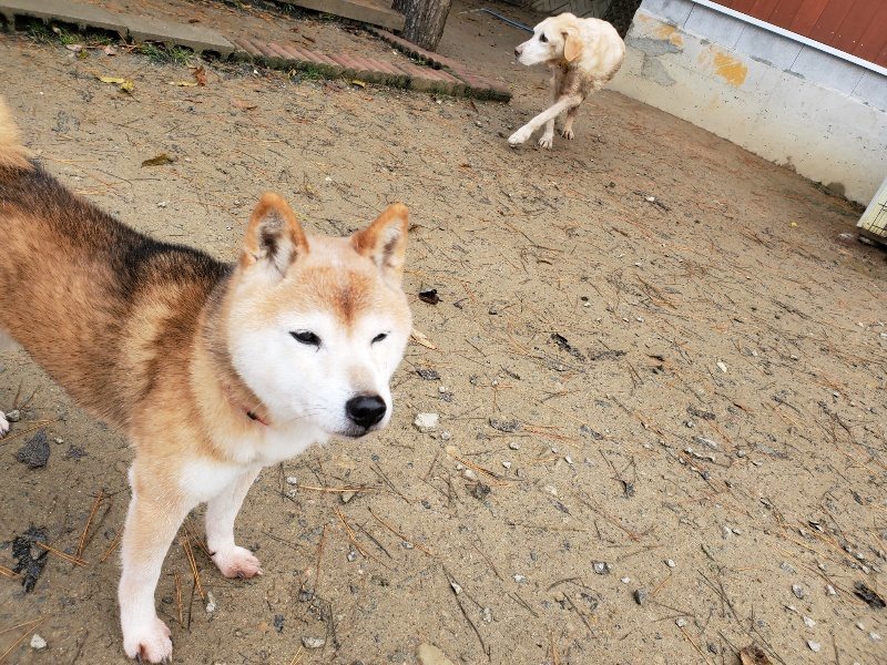 f:id:roukenhome-ann:20191213153336j:plain f:id:roukenhome-ann:20191213153336j:plain
