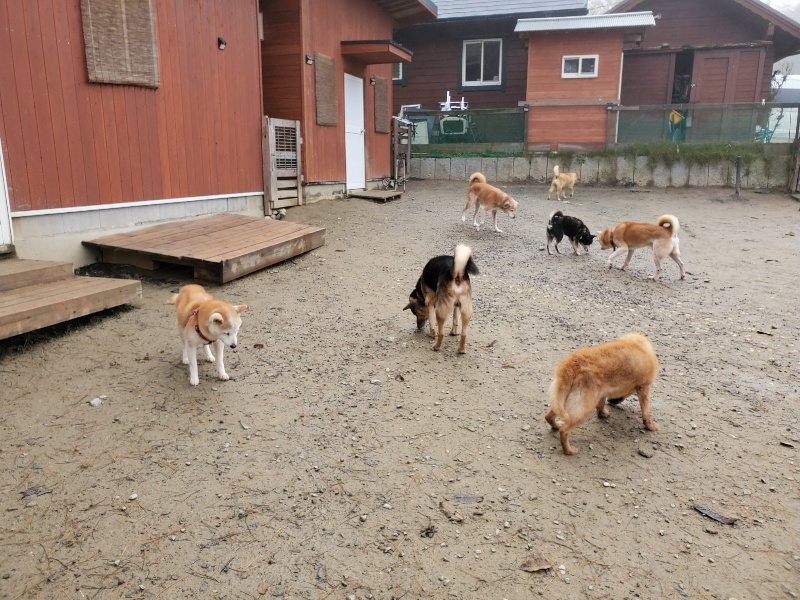 f:id:roukenhome-ann:20191213153355j:plain f:id:roukenhome-ann:20191213153355j:plain