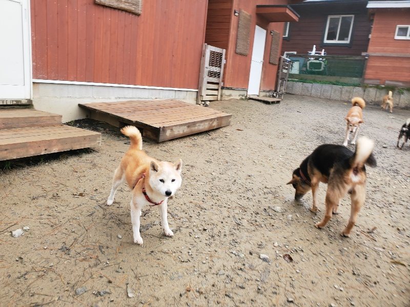 f:id:roukenhome-ann:20191213153405j:plain f:id:roukenhome-ann:20191213153405j:plain