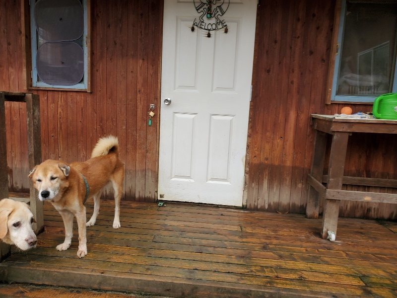 f:id:roukenhome-ann:20191213153415j:plain f:id:roukenhome-ann:20191213153415j:plain