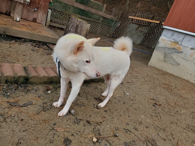 f:id:roukenhome-ann:20191213153436j:plain f:id:roukenhome-ann:20191213153436j:plain